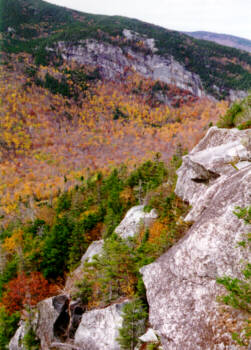 Foliage from Table Rock, Maine